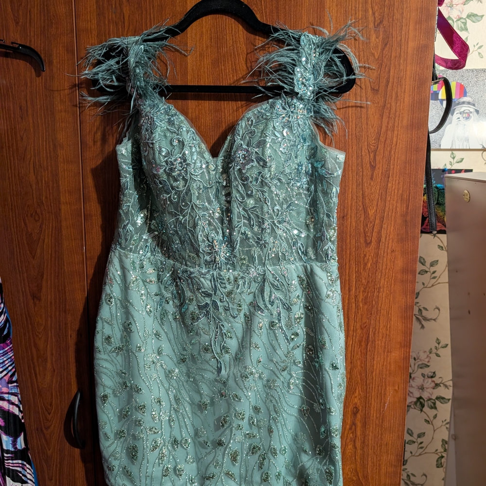 Elegant Feather-Trimmed Embroidered Dress